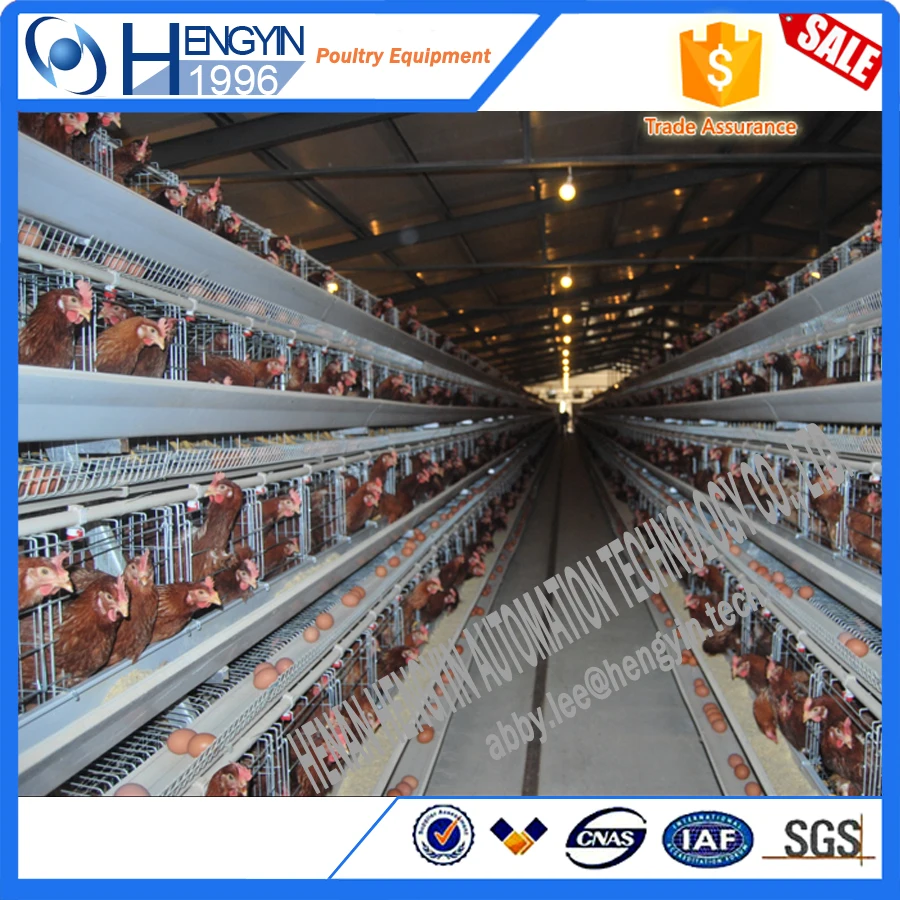 Newest promotion used chicken cage/ hen coops agricultural equipment broiler chicken cage