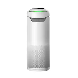 New products pm2.5 ionizer air purifier anion Smart Air Purifier  for hot selling for home