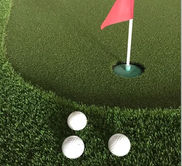 Indoor Putting Greens/Home Putting Green