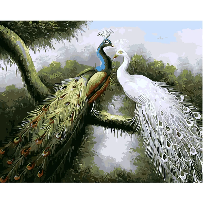 Diy Hand Painted Oil Painting Couple Peacock Posters And Prints By Number Picture Wall Art Picture Home Decor Unique Gift