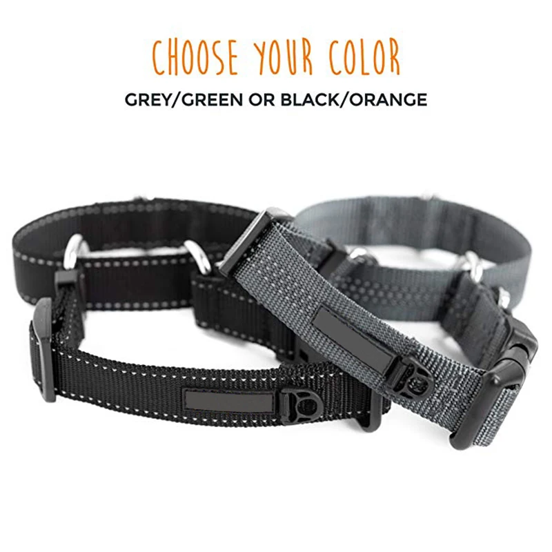 Nylon training collar martingale collar premium quality limited-cinch dog collar with reflective stitching