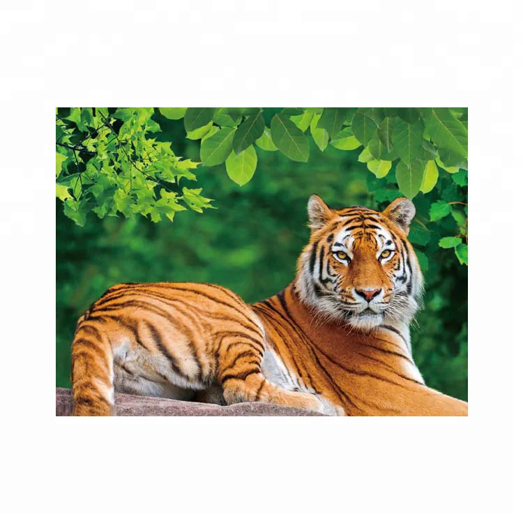 
Creative wall art 3d lenticular picture of tiger  (1489152372)
