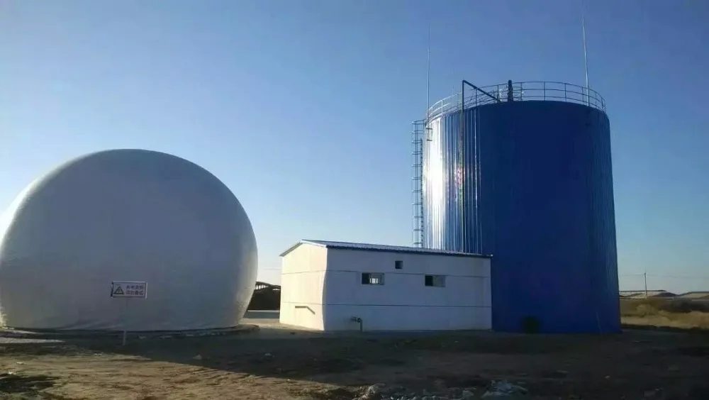 Methane gas torch with Double membrane gas for Biogas equipment