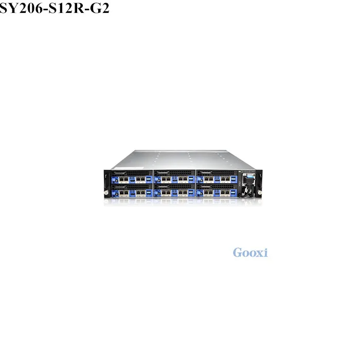 Micro Blade Server Barebone 2U Micro-Cloud Gooxi SY206-S12R-G2