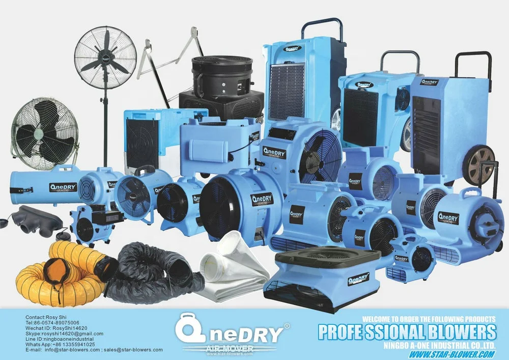 Китай, OEM,110 В/60 Гц, 45 л, домашний промышленный мини-осушитель для форм, коммерческий осушитель LGR для восстановления повреждений водой