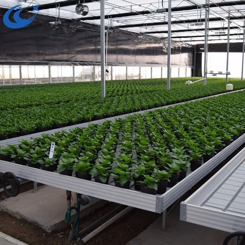 greenhouses agriculture hand tools microgreens lettuce seed