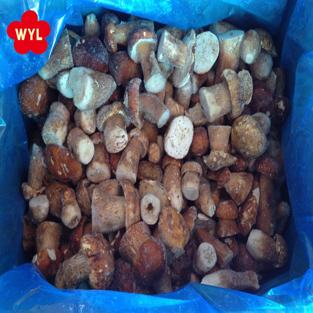 
china good price IQF Frozen Mushrooms Boletus Edulis 