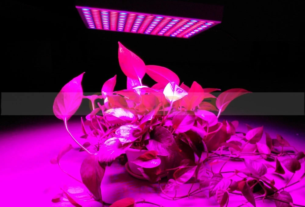 45W Full Spectrum Led Plant Lamp AC85~265V Hydroponics Flower Panel Grow Light