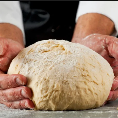 Antibiotics   Lysine yeast producing equipment