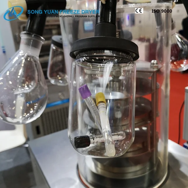 
small mini lab freeze dryer with low price China Vacuum lyophilizer LGJ-18C for fruit vegetables 