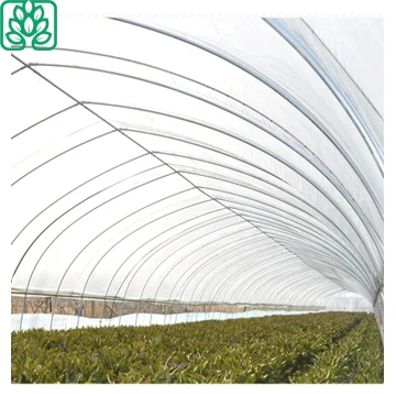 Профессиональная продукция, сельскохозяйственная Теплица-туннель для грибов