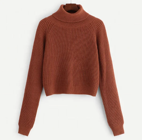 
Turtleneck Raglan Sleeve Jumper Fall Winter Tops For Womens Knitted Sweater 