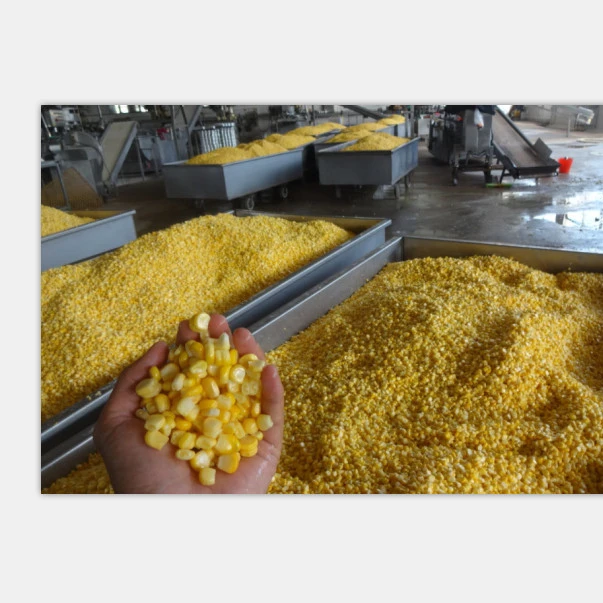 
2019 Health superior sweet corn Kernel 
