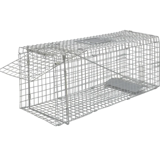 Collapsible One-door Live Animal Cage Trap For Raccoon Stray Cat Groundhog Opossum Armadillos