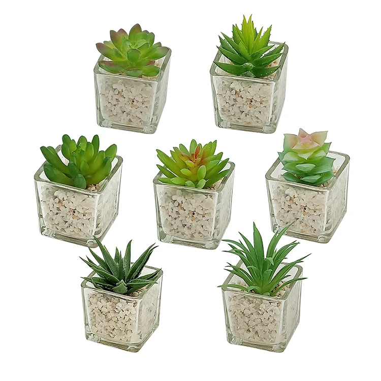 Small Glass Cube artificial succulent mini potted succulent faux plant set