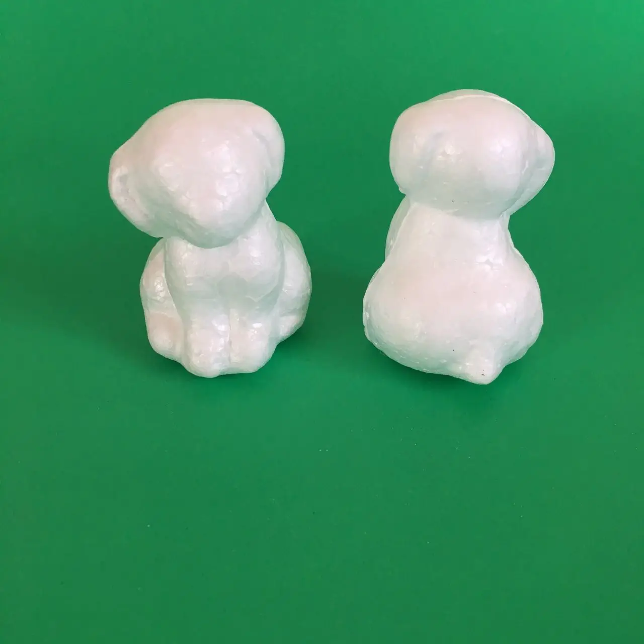 polystyrene styrofoam foam dog