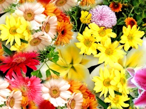 digitally printed silk fabric