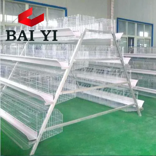 chicken cages galvanized and accessories poultry equipment qatar