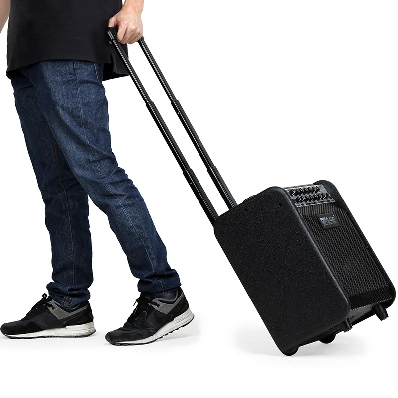 60W Multifunctional Keyboard Speaker Vocal Power Guitar Amplifier