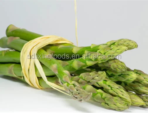 
delicious canned green asparagus with cheap price 