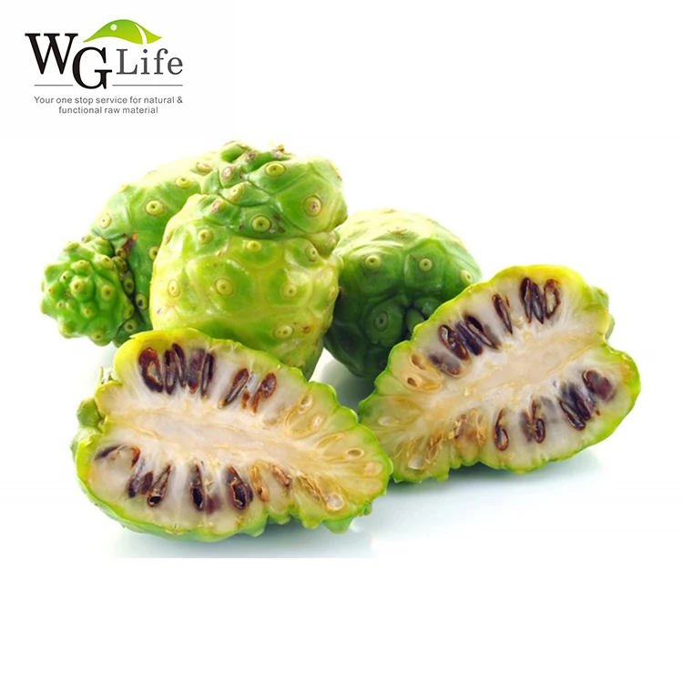 Hot Product Morinda Citrifolia Noni Dried Concentrate Juice Powder Plant Extract