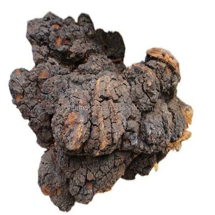 
Chaga Mushroom Extract 