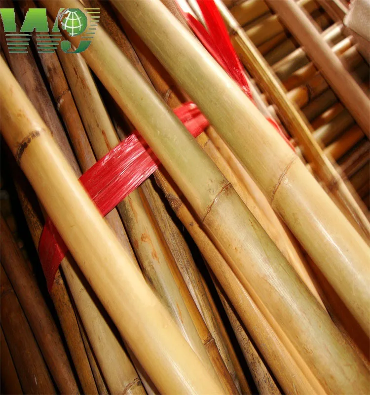 WY T-001 Natural Tonkin bamboo cane