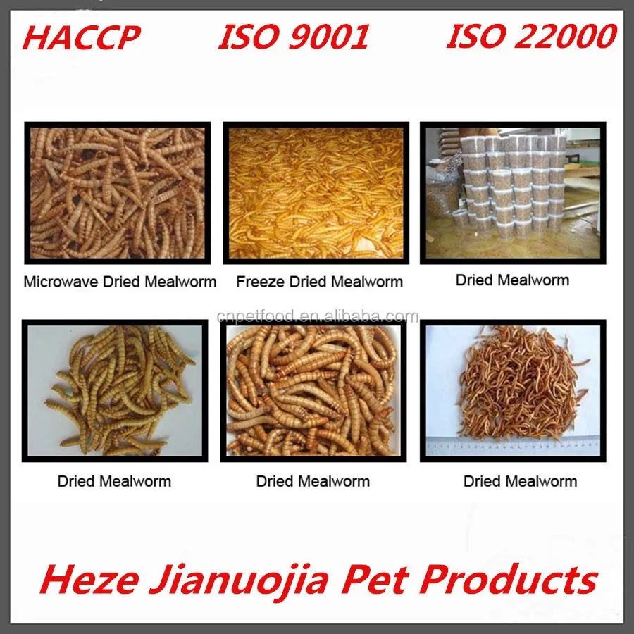 Tenebrio Molitors Mealworms Wholesale Edible Dried Insects