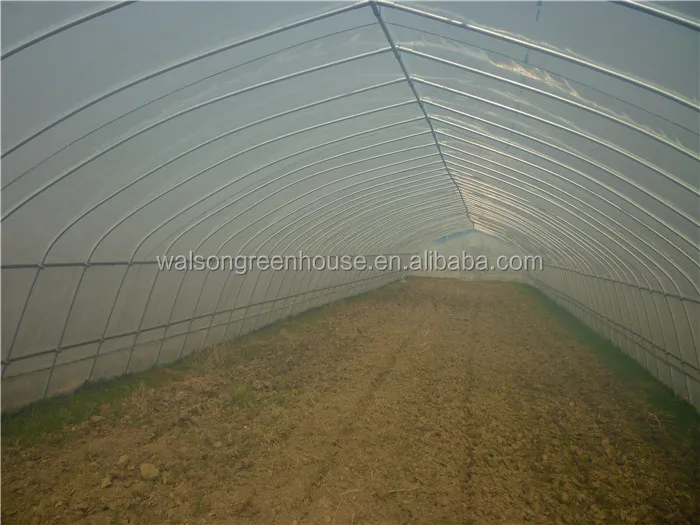 Single Span Reinforced Plastic Film Tunnel Greenhouse for Horticultural Farming