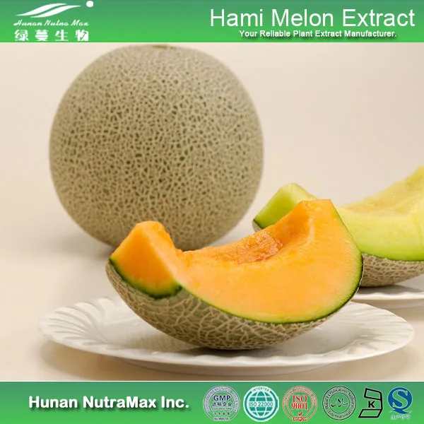 
Free Sample Food & Beverage Cantaloupe Powder Melon Extract Powder 