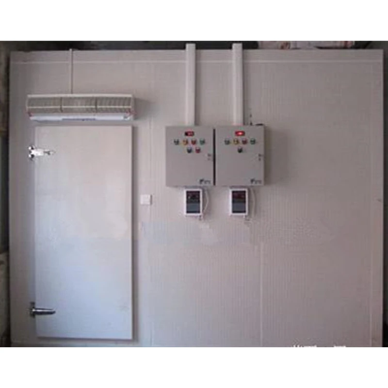 Famous Brand Insulated Panels For Cold Storage Prefabricated Small Cold Room Chicken Blast Freezer For Sale