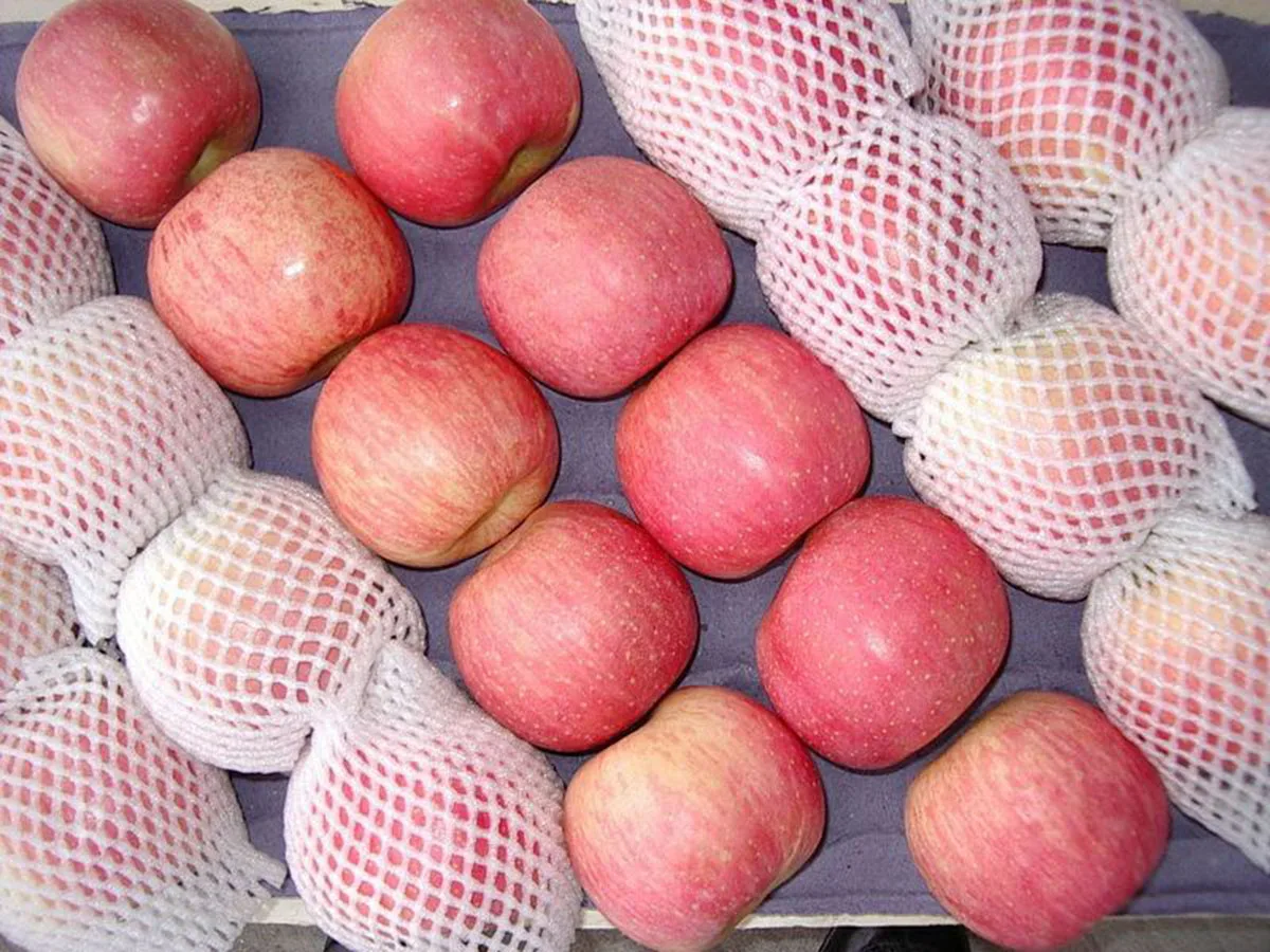 
Royal Gala Apples Granny Smith Apples Red Delicious/Stark/Red Chief Apples Fuji apples Origin CHINA 