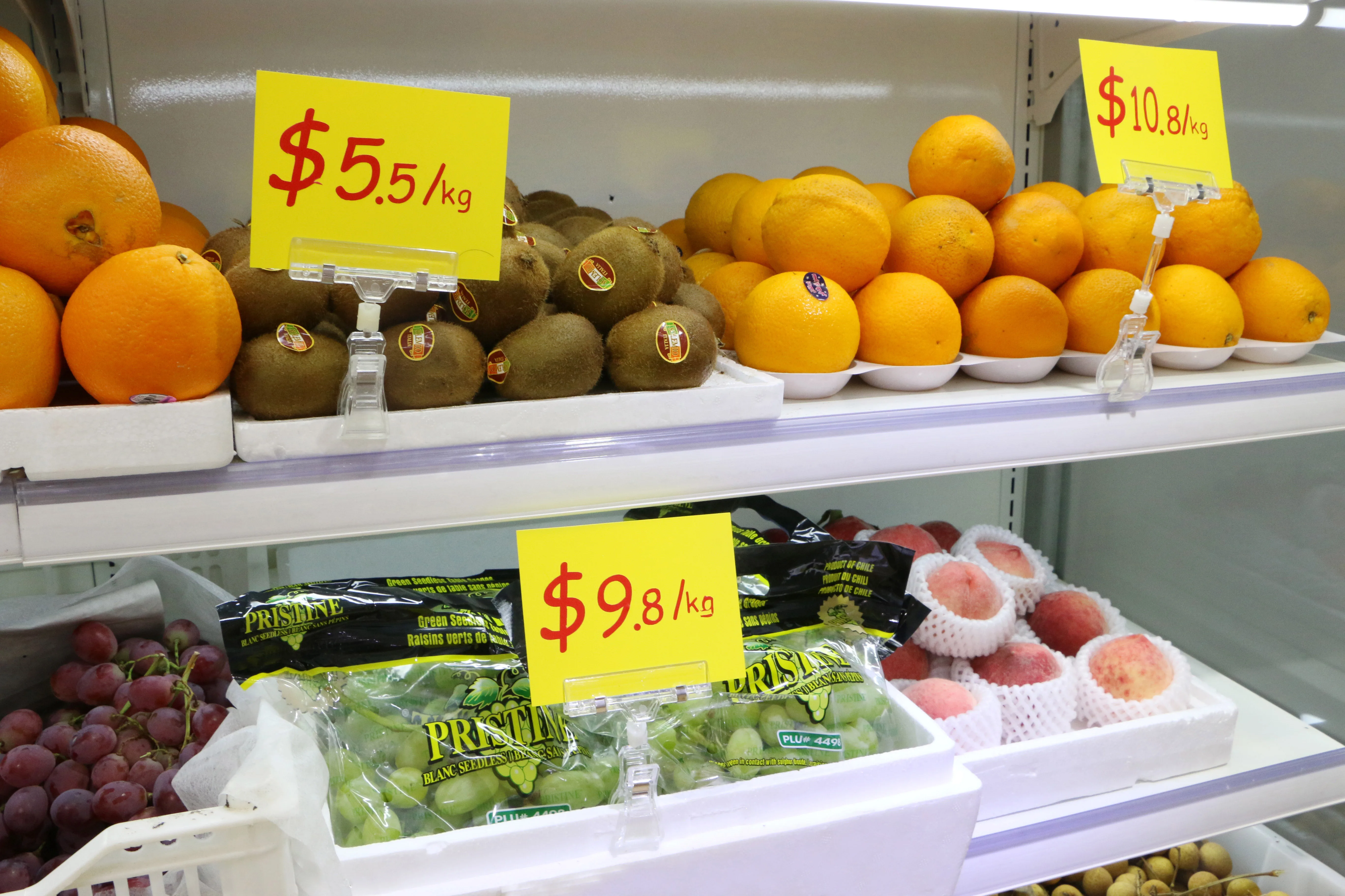 Transparent Plastic Material Plastic POP clip, Plastic label holder clip for Supermarket Display