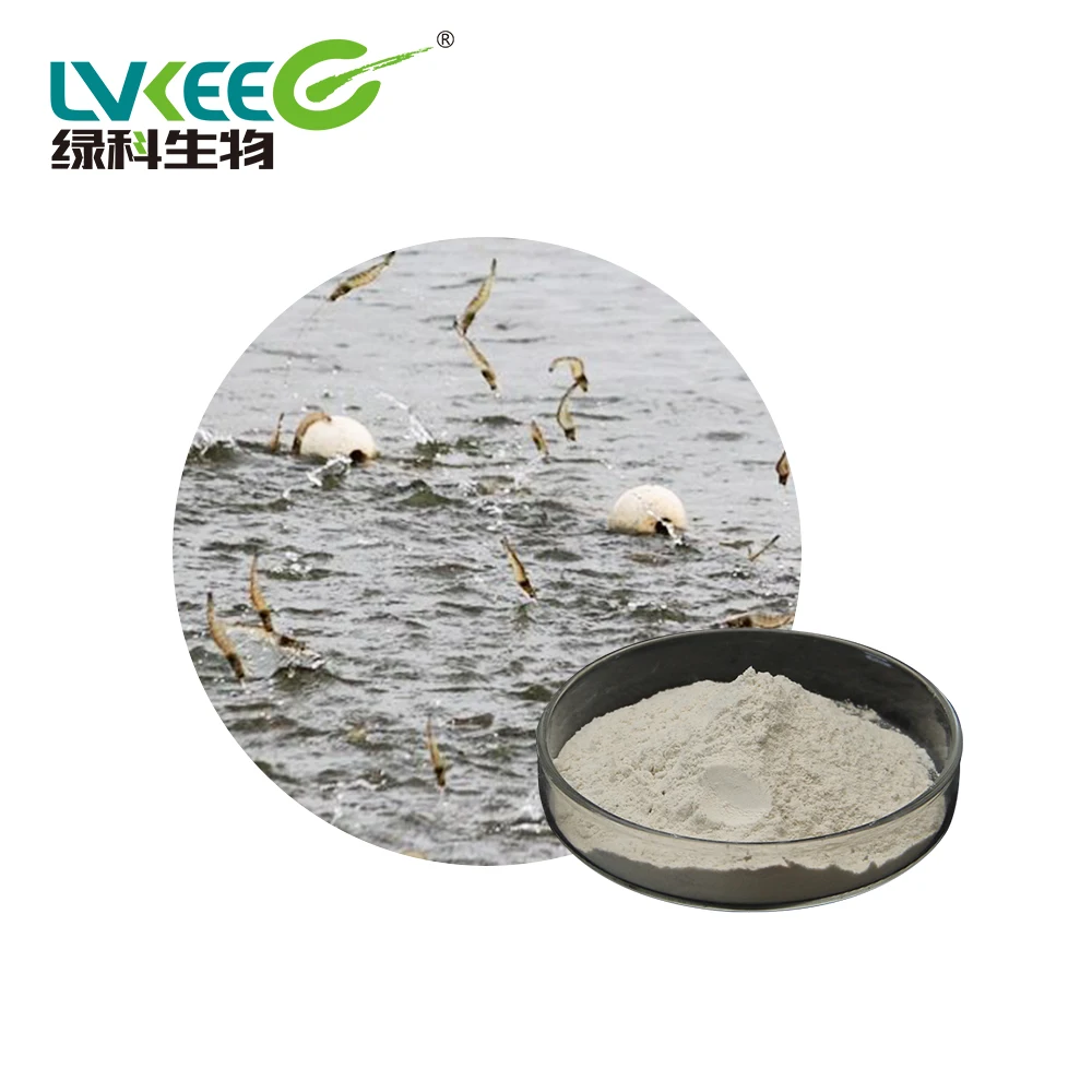 
Compound Bacteria Probiotics Denitration for Fish Shrimp Pond Water Treatment 