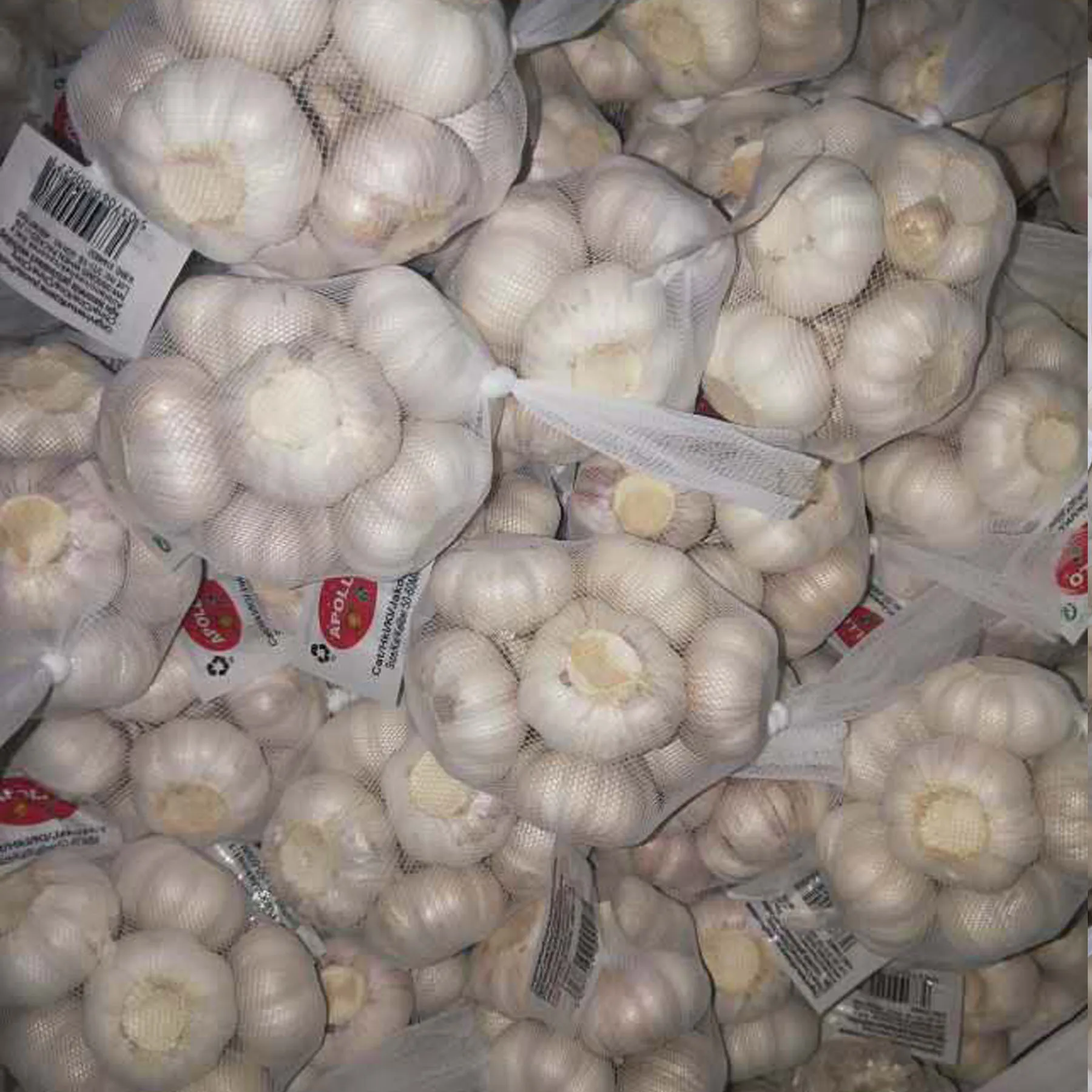 
small size garlic normal white garlic chinese garlic factory 