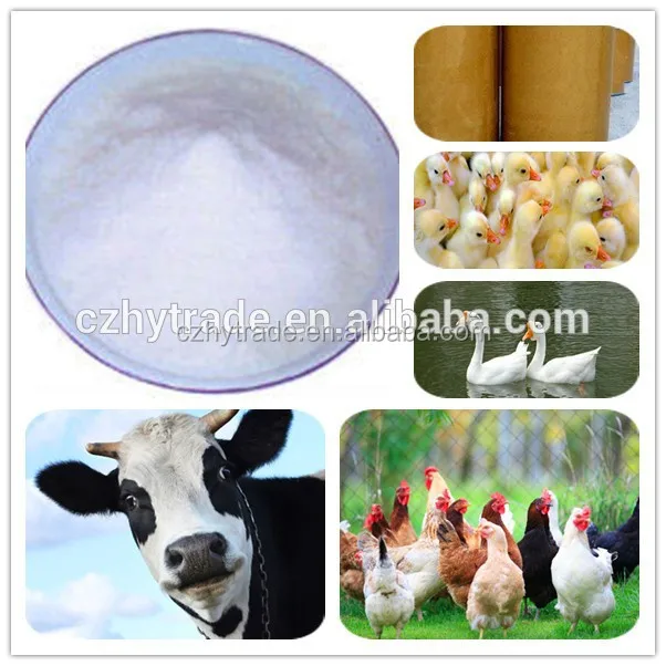 Feed additives betaine hydrochloride / Distributors wanted