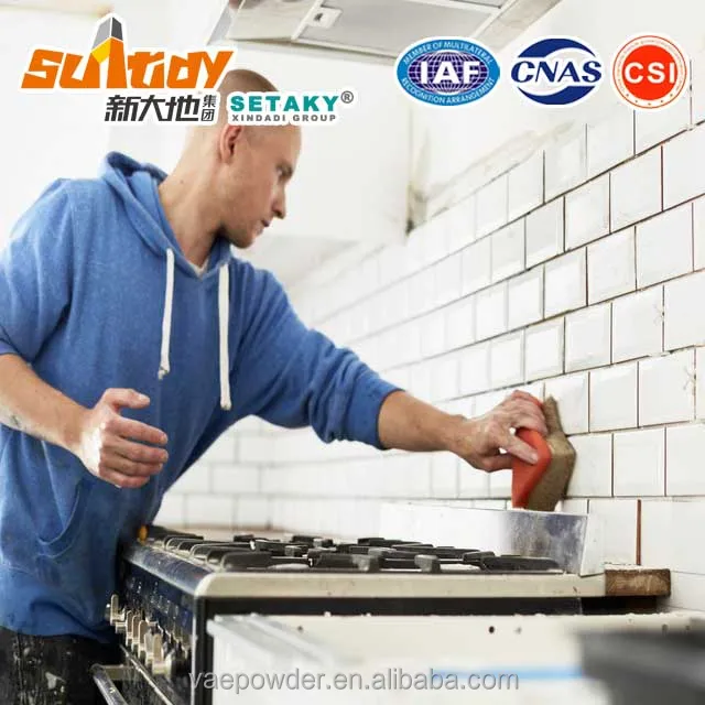 Cement based drymix mortar additive Setaky-745N7 Countertype to Elotex FX-5600