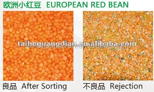 green lentils CCD Color Sorter,red lentils color sorting machine