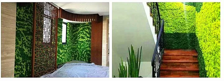 
Wholesale 500g high quality decor preserved moss 