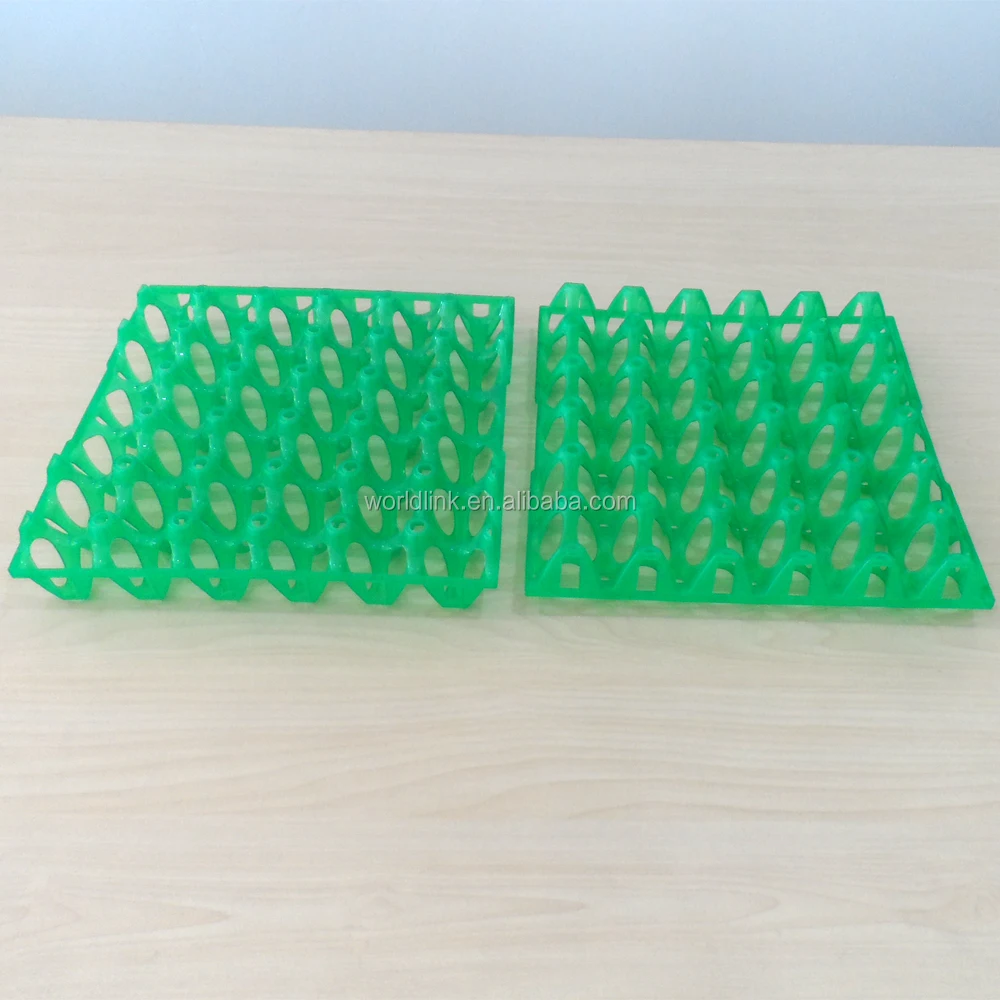 plastic egg tray (1)