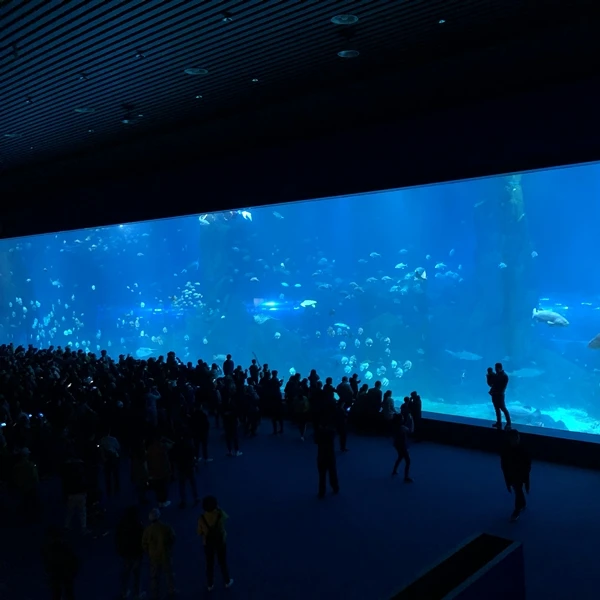 Прозрачный квадратный Большой акриловый аквариум XC