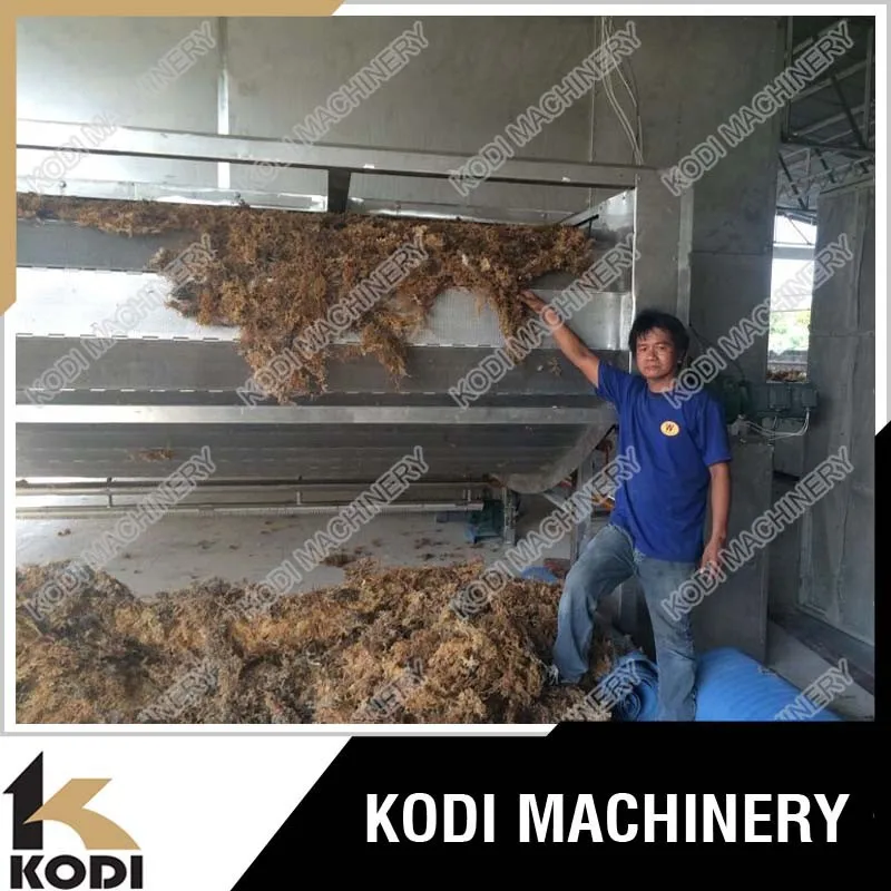 KODI Continous Seaweed Mesh Conveyor Belt Dryer/Drying Machine