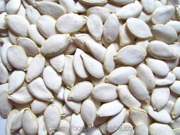 pumpkin seeds pumpkin price online