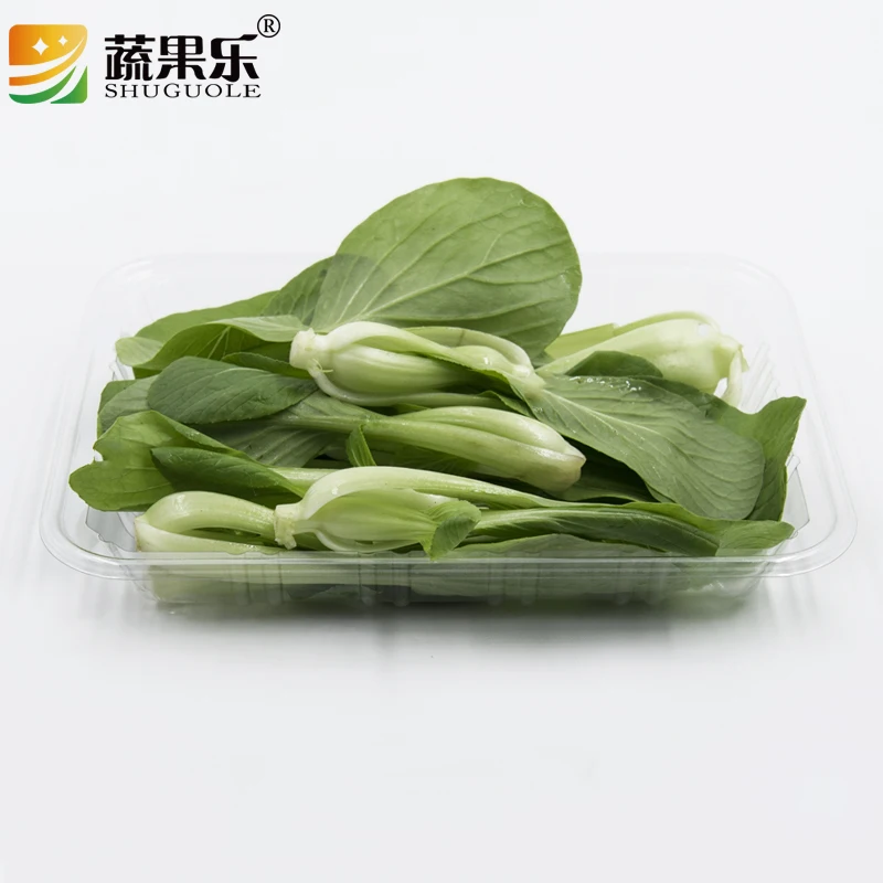 Recyclable PET Plastic Tray Disposable Biodegradable Blister Fruit Tray for Food Packaging