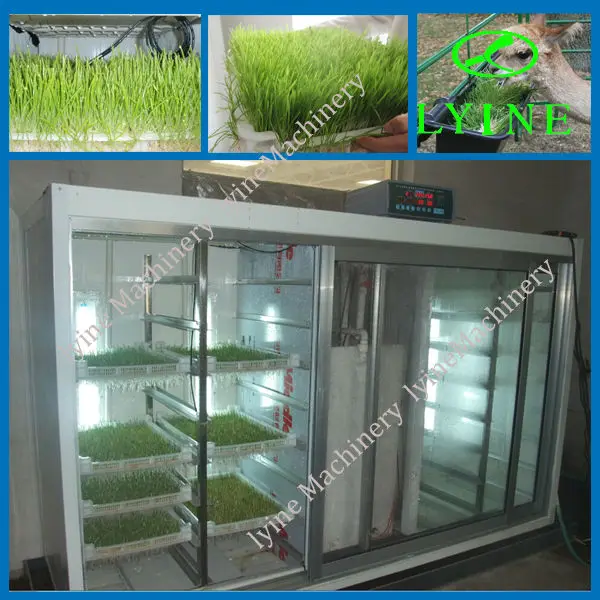 wheat growing machine wheat germ system machine feed