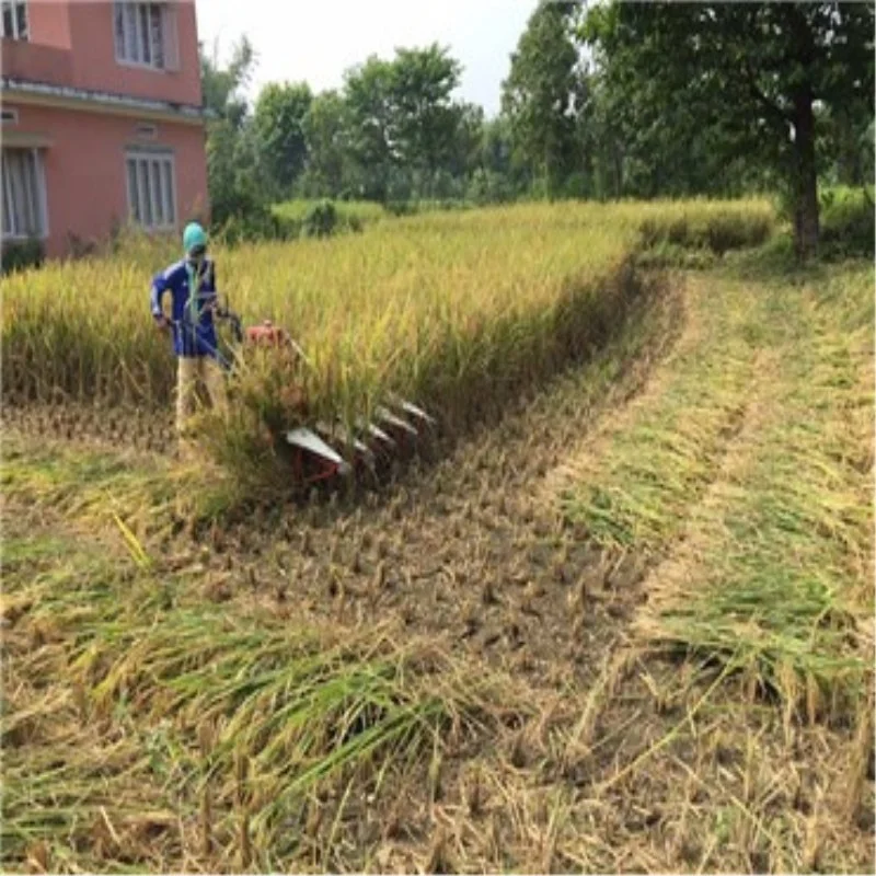 Miwell 4G100 Wheat Cutting Machine Alfalfa Rice Reaper for Maize Stevia