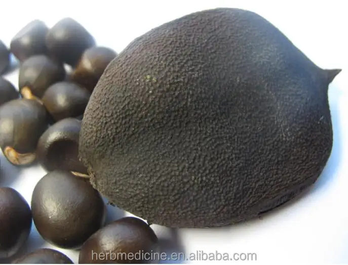 
Dried Raw Xanthoceras sorbifolium seeds fruits 