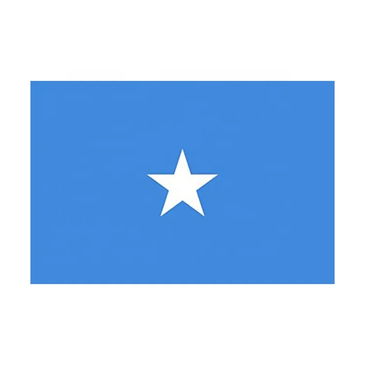 wholesale factory price 3x5 custom banner somali flag