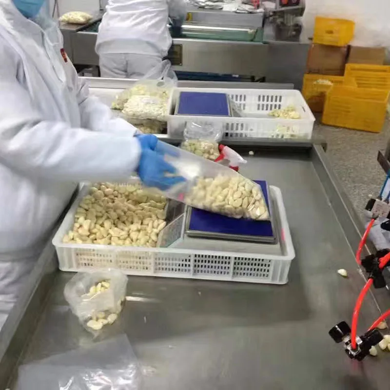 
Factory direct selling Hot sale Fresh Peeled Garlic with vacuumize packing 