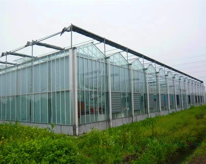 complete glass green house project  and manufacturer for vegetable  planting